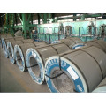 Painting Color PPGI /PPGI Steel Coil /PPGI Coil From China Facotory